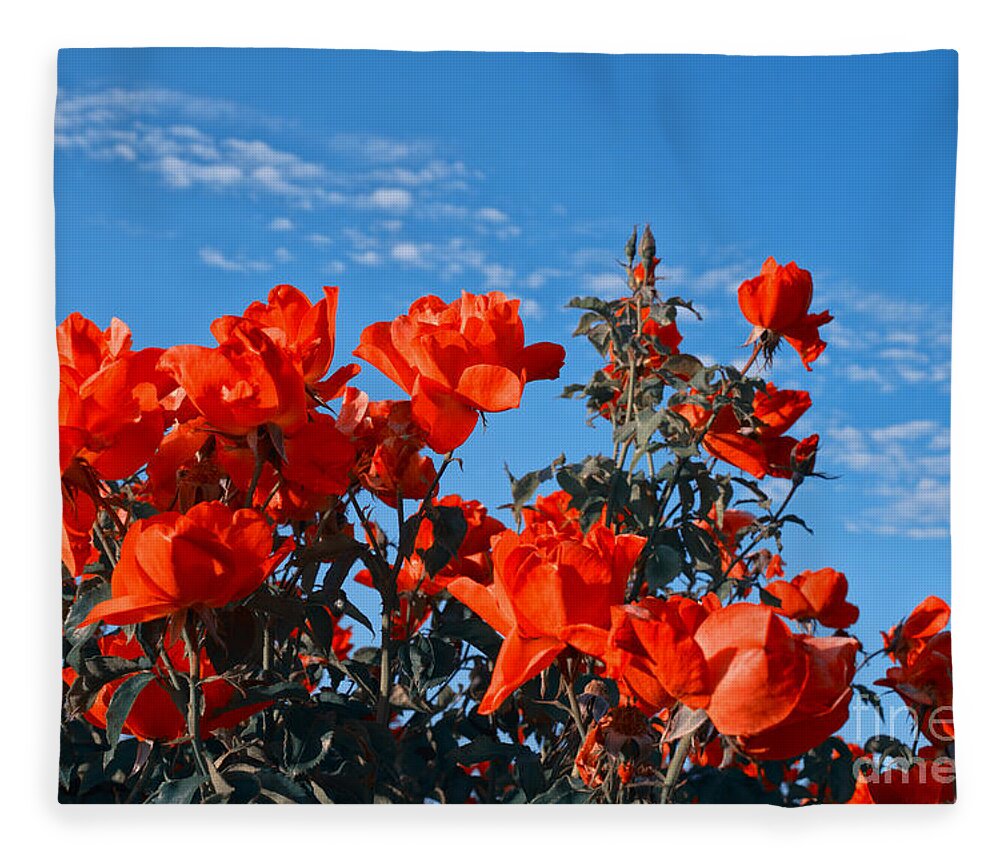 Orange Fleece Blanket featuring the photograph Orange Brillance by Weir Here And There