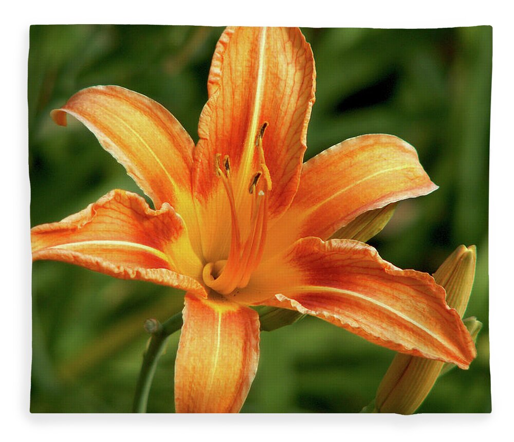 Lily Fleece Blanket featuring the photograph Orange Delight by Lisa Blake