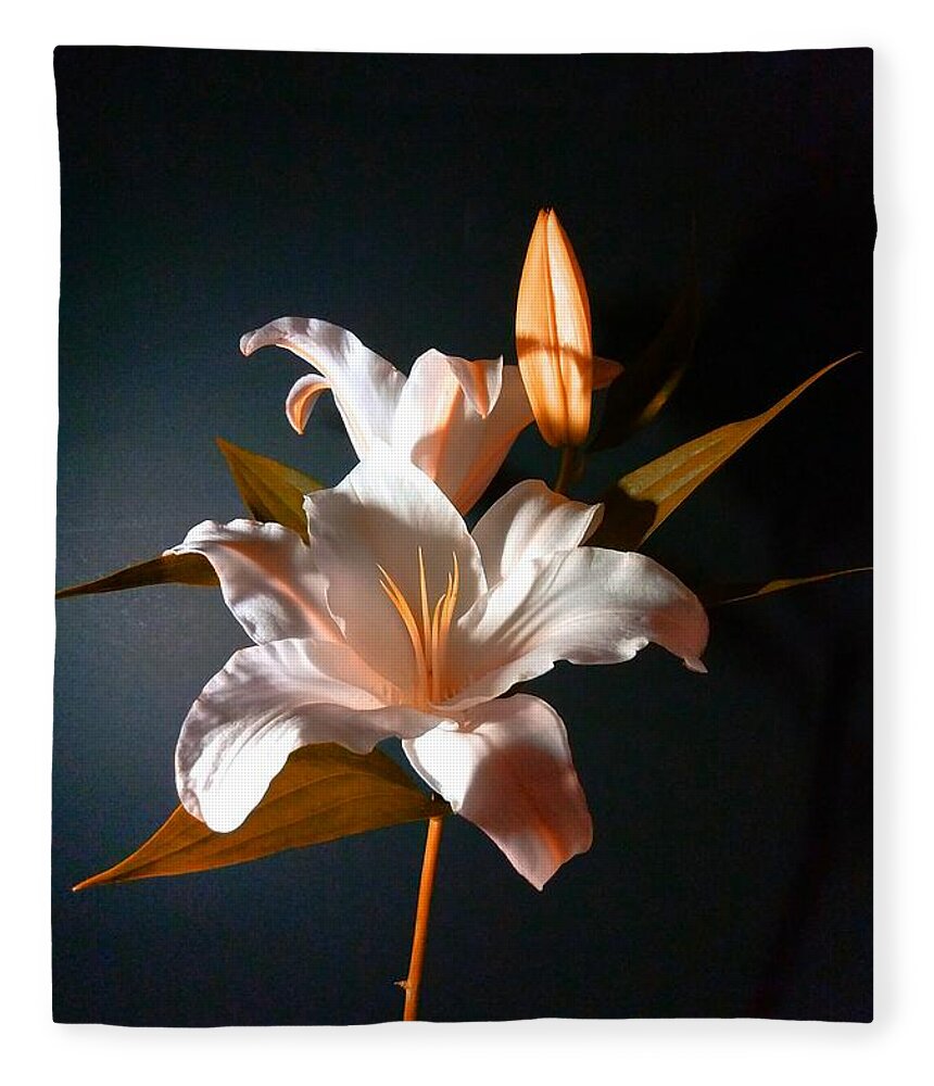 Digital Art Fleece Blanket featuring the photograph Orange Lily by Delynn Addams