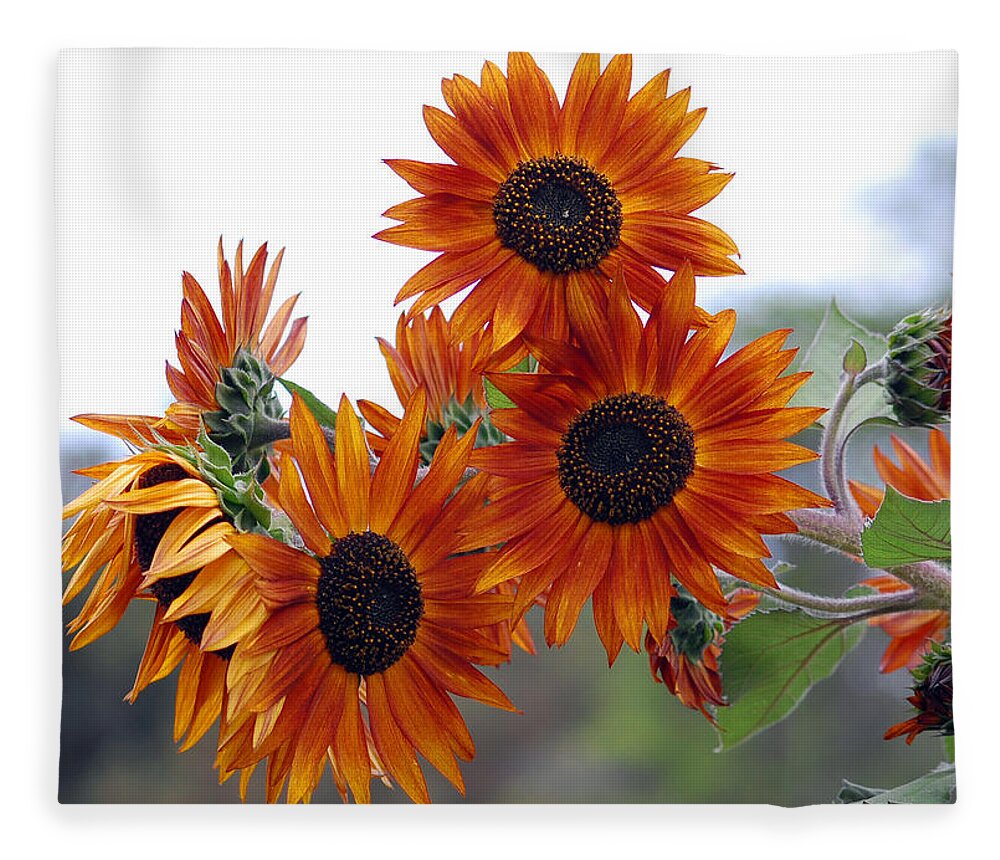Sunflower Fleece Blanket featuring the photograph Orange Sunflower 1 by Amy Fose