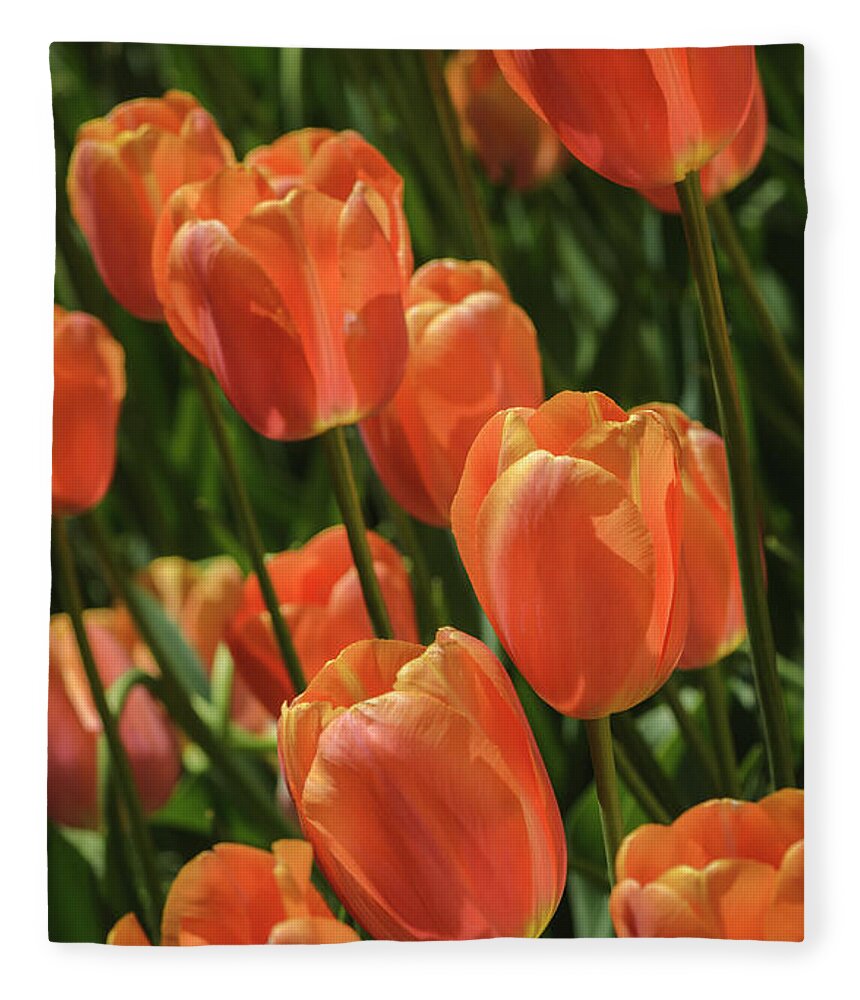 Orange Fleece Blanket featuring the photograph Orange Tulips by Tamara Becker
