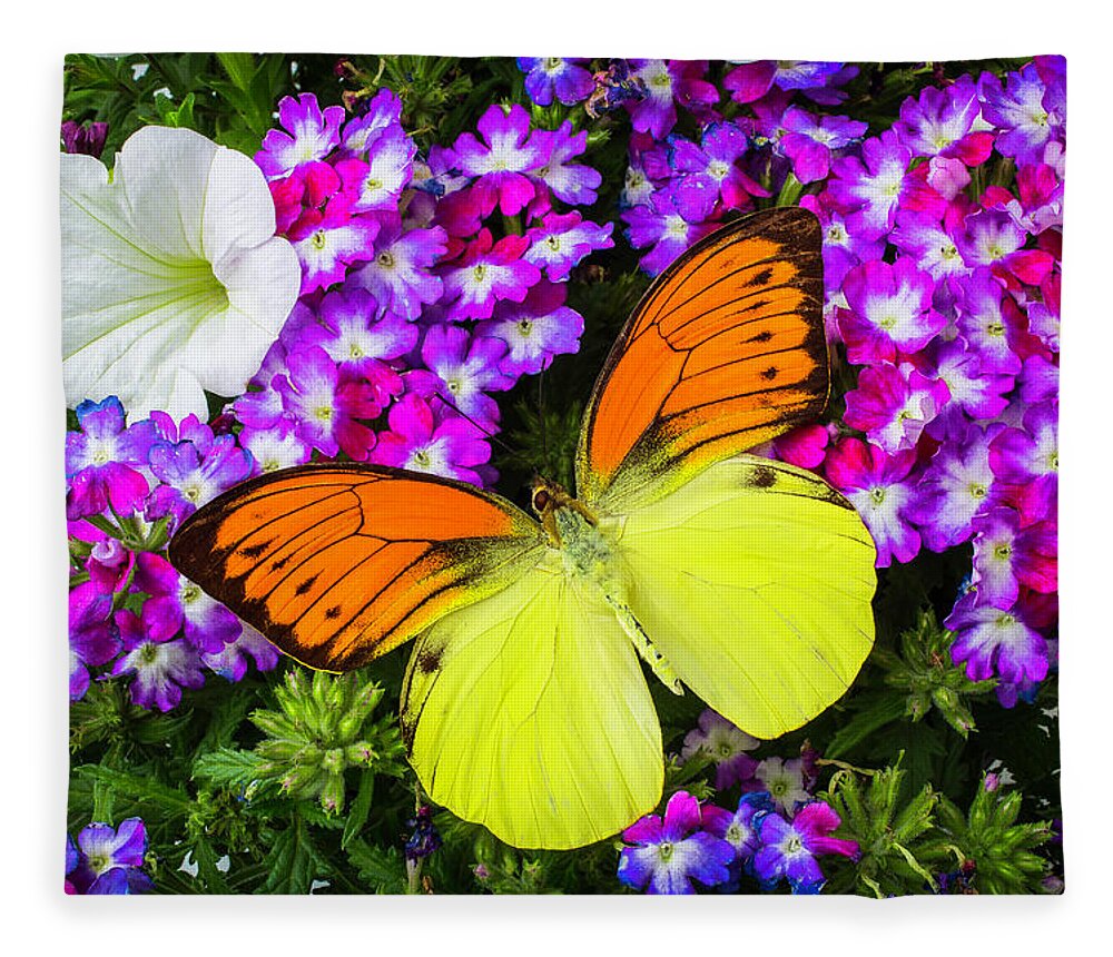 Flower Fleece Blanket featuring the photograph Orange Yellow Wings by Garry Gay