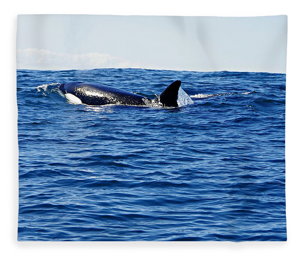 Killer Whale Fleece Blanket featuring the photograph Orca by Marilyn Wilson
