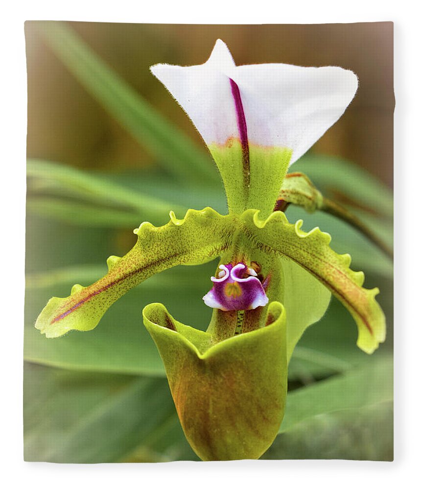 Selby Fleece Blanket featuring the photograph Orchid Allure by Richard Goldman