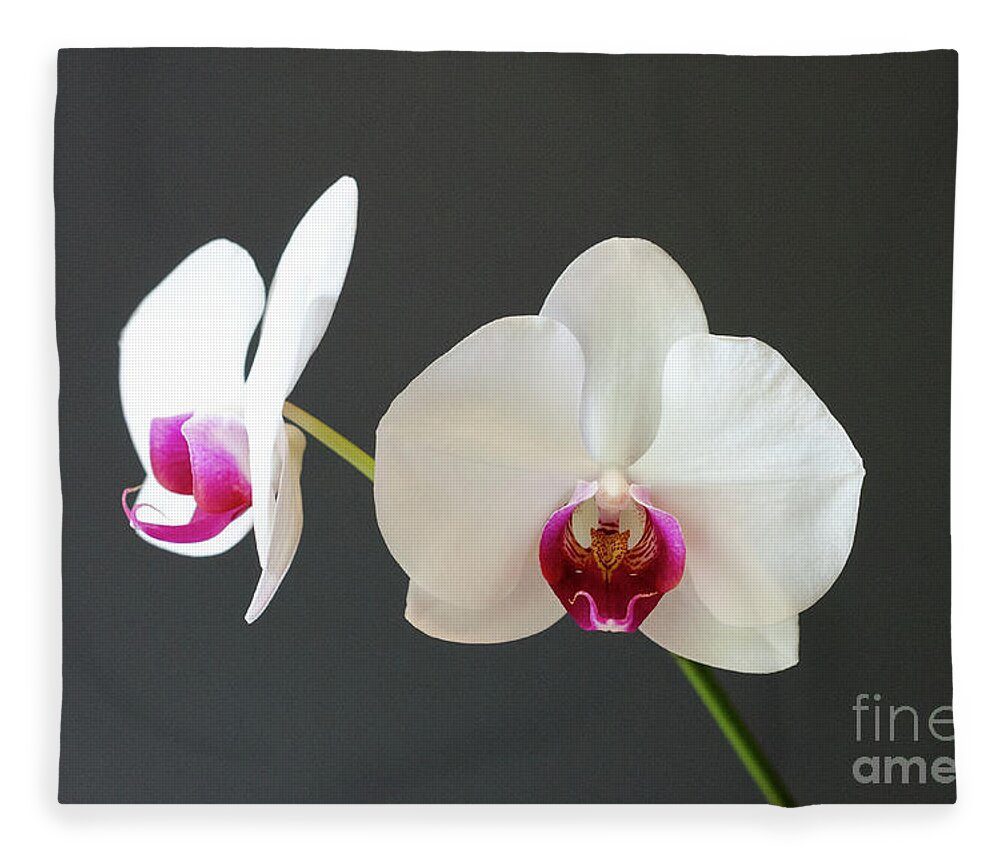 Orchid Fleece Blanket featuring the photograph Orchid Blooms by Laurel Best