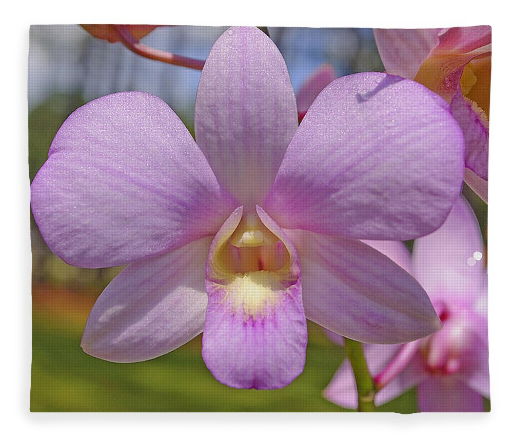 Orchid Fleece Blanket featuring the photograph Orchid Flower by Kenneth Albin