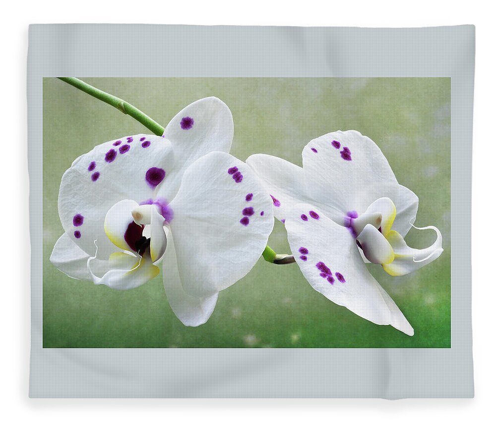 Orchids Fleece Blanket featuring the photograph Orchids With Purple Specks by Terence Davis