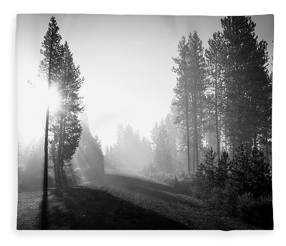 Oregon Fleece Blanket featuring the photograph Oregon Woods by Aileen Savage