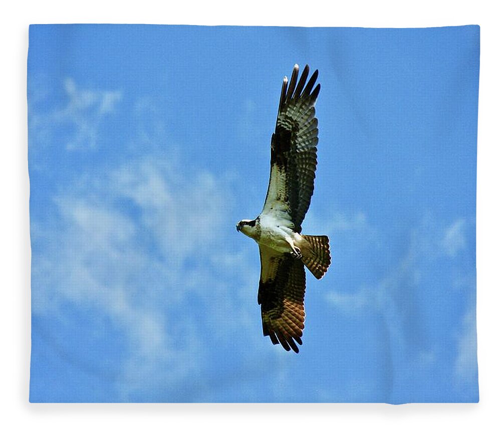 Osprey Fleece Blanket featuring the photograph Osprey and Me by Shawn M Greener