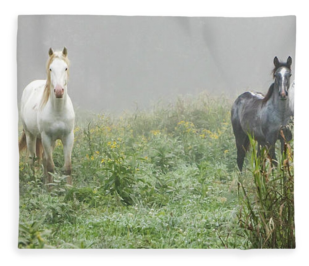 Wild Horses Fleece Blanket featuring the photograph Out of the Mist, 2 by Holly Ross