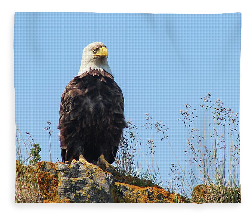 Eagle Fleece Blanket featuring the photograph Overseer by Holly Ross