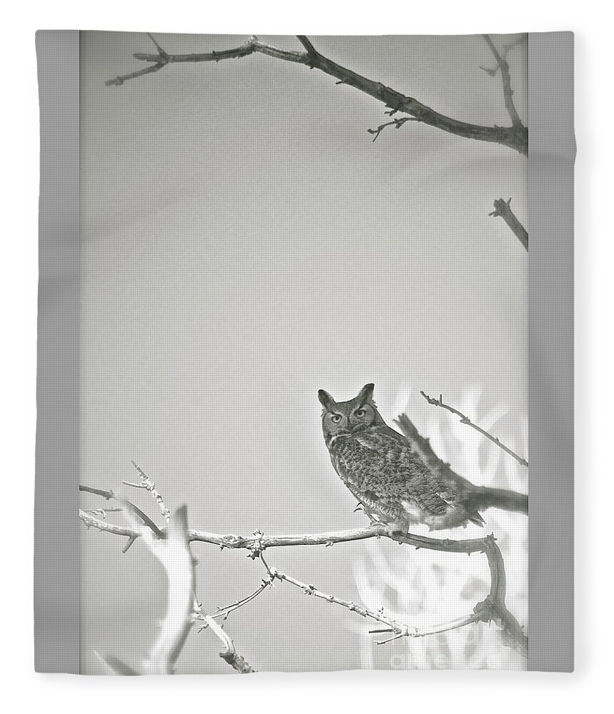 Owl Fleece Blanket featuring the photograph Owl Be Seeing You by Cindy Schneider