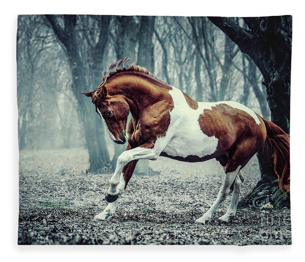 Horse Fleece Blanket featuring the photograph Paint horse in the frozen forest by Dimitar Hristov