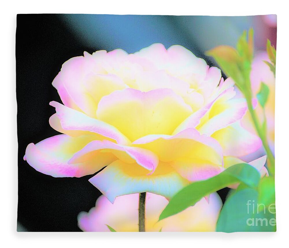Rose Fleece Blanket featuring the photograph Paint me Beautiful by Merle Grenz