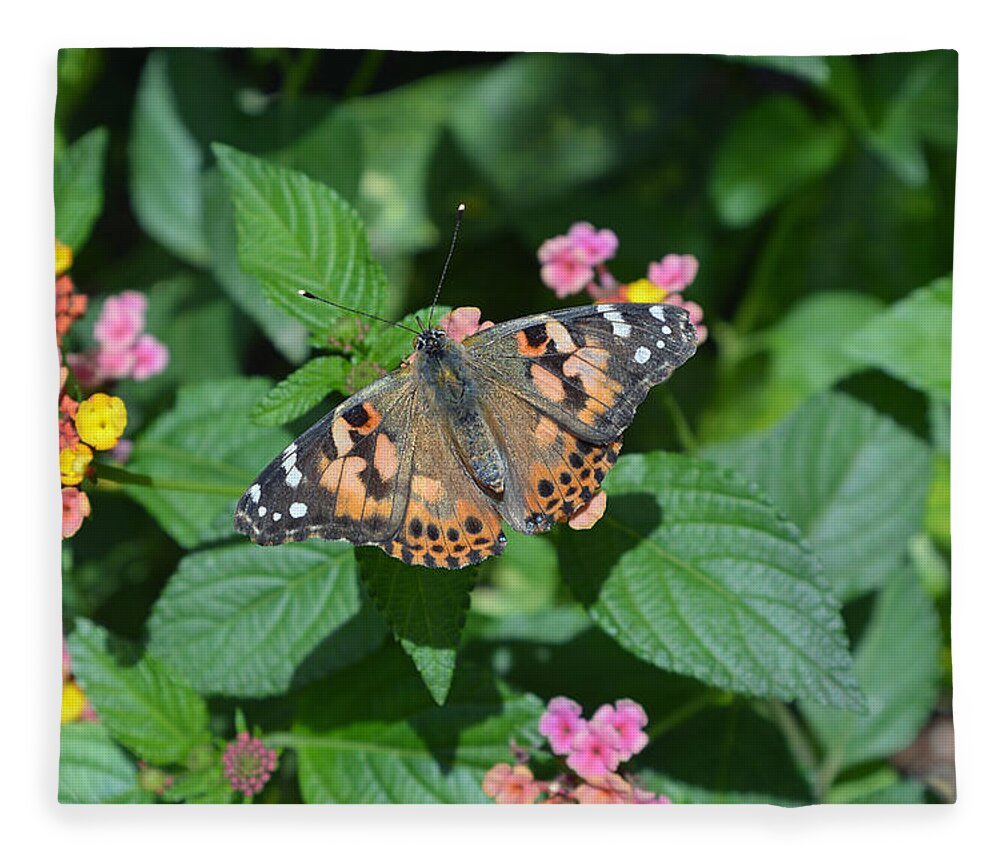 Butterfly Fleece Blanket featuring the photograph Painted Lady Butterfly by Aimee L Maher ALM GALLERY