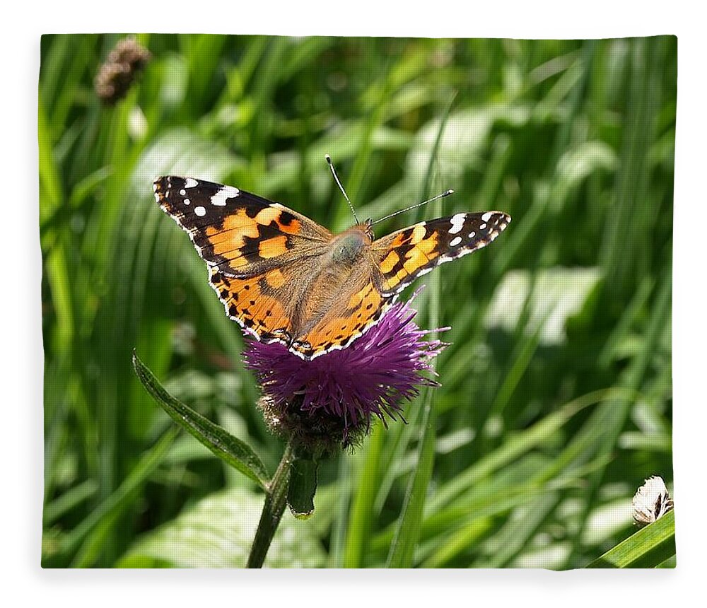 Painted Lady Fleece Blanket featuring the photograph Painted Lady Vanessa cardui by Richard Brookes