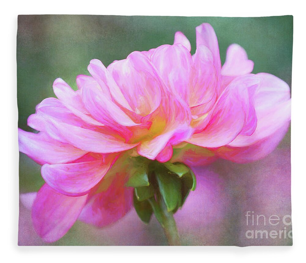 Dahlia Fleece Blanket featuring the photograph Painted Pink Dahlia by Anita Pollak
