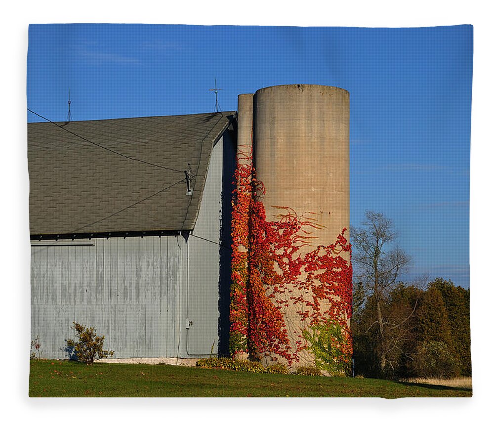 Fall Fleece Blanket featuring the photograph Painted Silo by Tim Nyberg