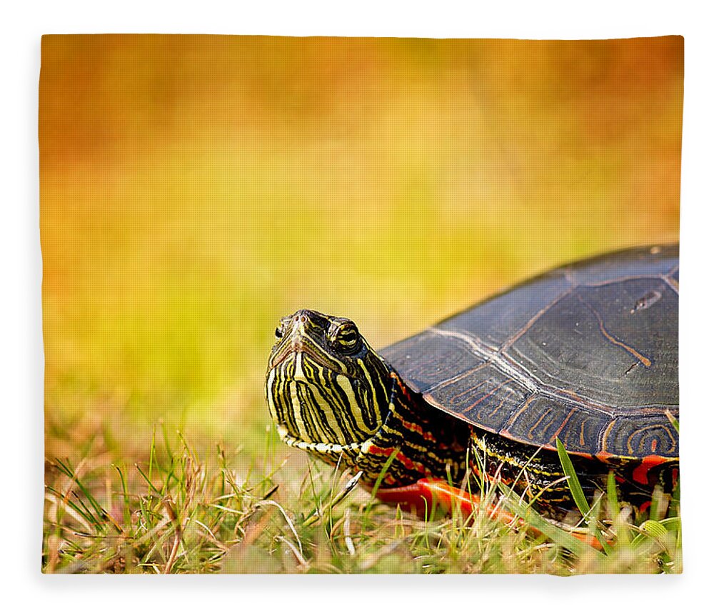 Painted Turtle Photo Fleece Blanket featuring the photograph Painted Turtle Print by Gwen Gibson