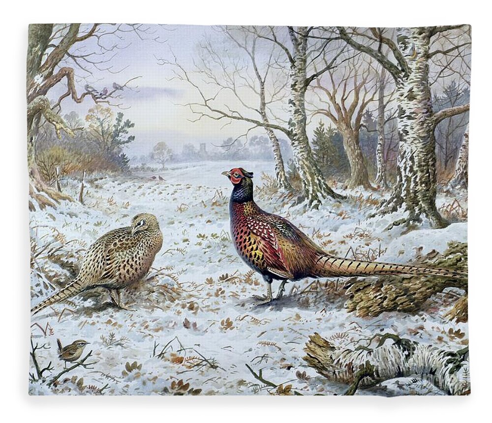 Game Bird; Snow; Woodland; Perdrix; Faisan; Troglodyte; Pheasant; Pheasants; Tree; Trees; Bird; Animals Fleece Blanket featuring the painting Pair of Pheasants with a Wren by Carl Donner