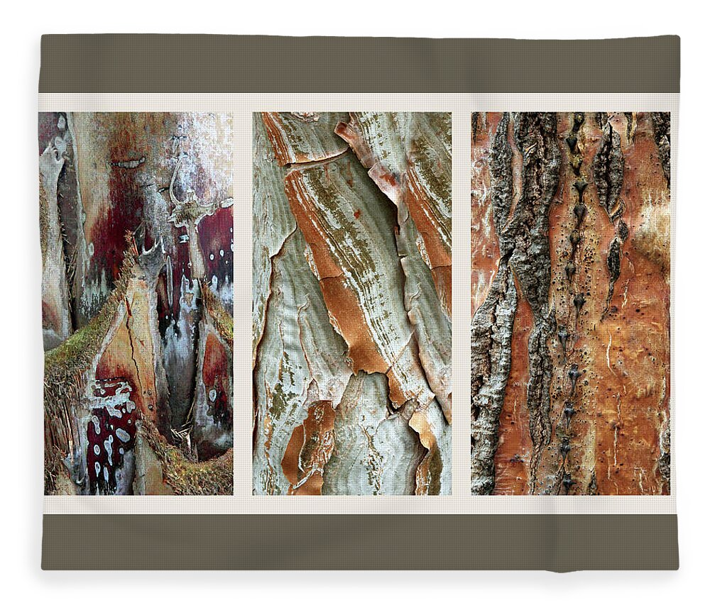 Bark Fleece Blanket featuring the photograph Palm Tree Bark Triptych by Jessica Jenney