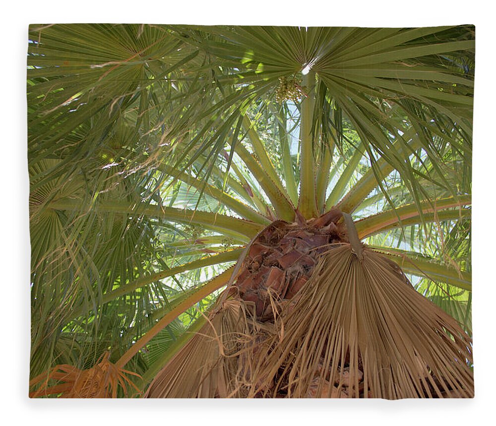 Palm Fleece Blanket featuring the photograph Palm view by Darrell Foster