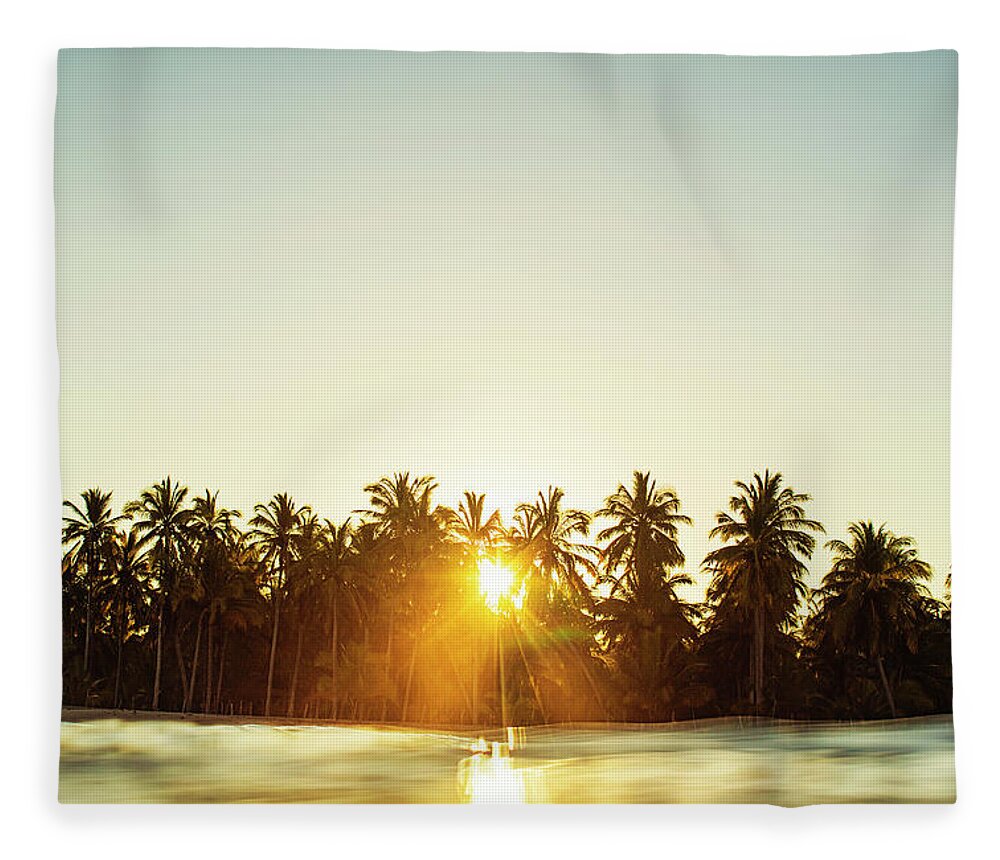 Surfing Fleece Blanket featuring the photograph Palms And Rays by Nik West