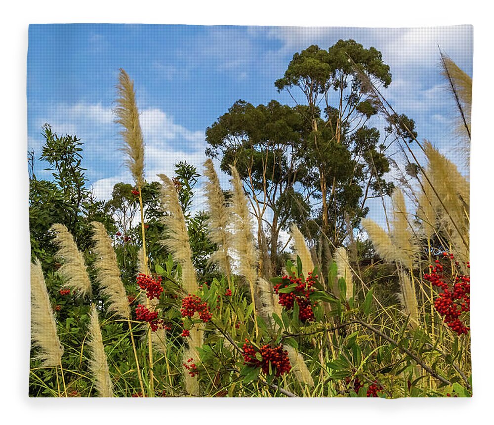 Berries Fleece Blanket featuring the photograph Pampas grass and red berries against blue sky by Roslyn Wilkins