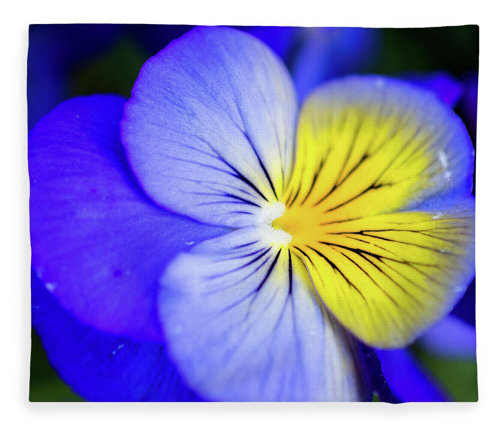 Pansy Fleece Blanket featuring the photograph Pansy Close-up Square by Lisa Blake