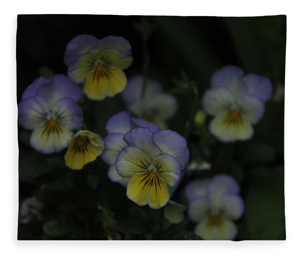 Pansies Fleece Blanket featuring the photograph Pansy Flower Bouquet by Valerie Collins