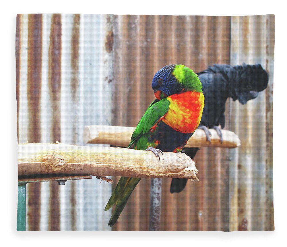 Parrots Fleece Blanket featuring the photograph Parrots Nodding by Kathy Corday