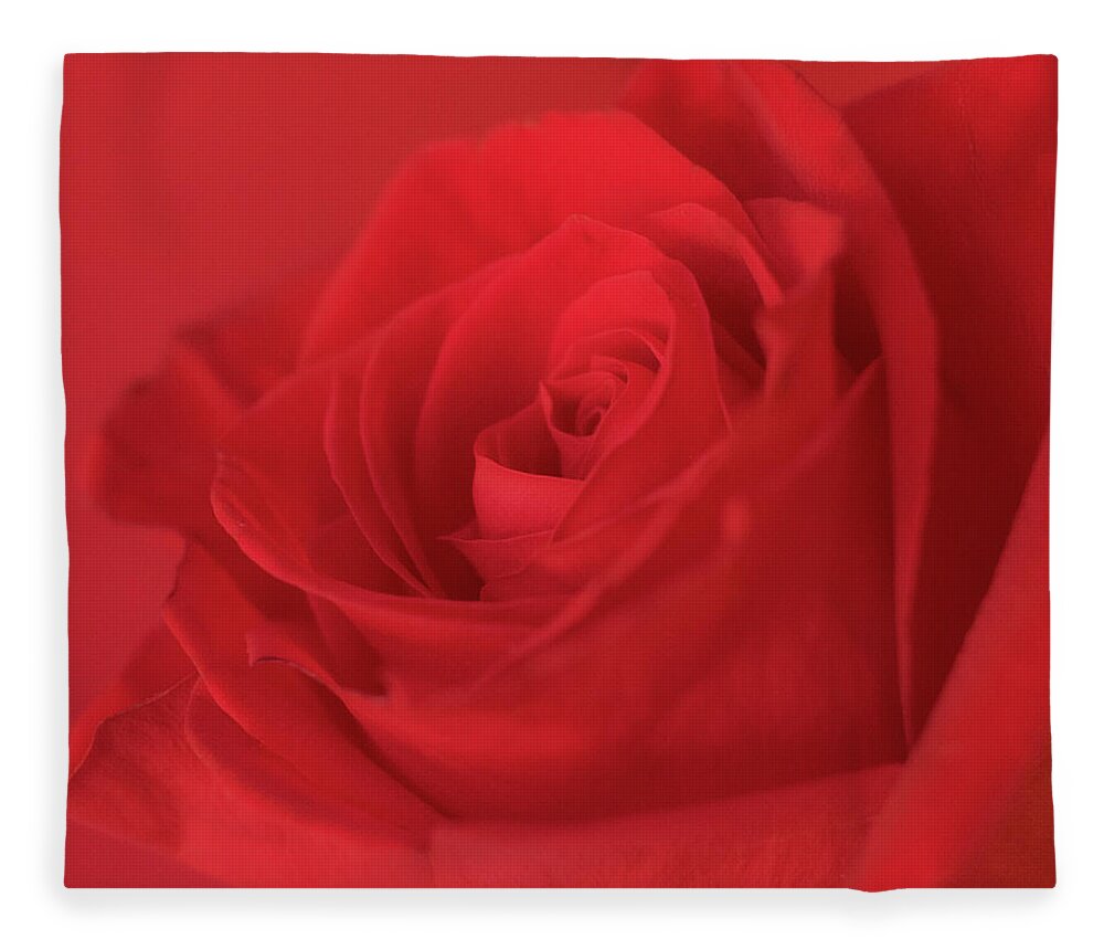 Red Rose Fleece Blanket featuring the photograph Passion by Holly Ross