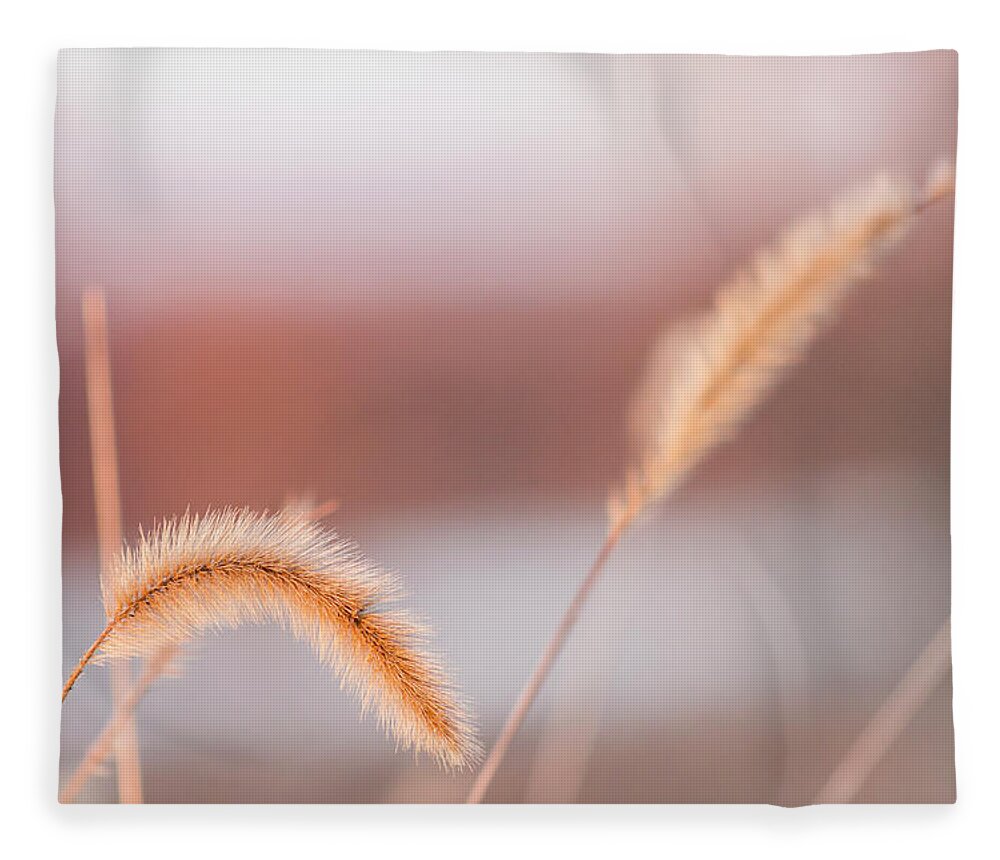 Weeds Fleece Blanket featuring the photograph Pastel Sunset by Holly Ross