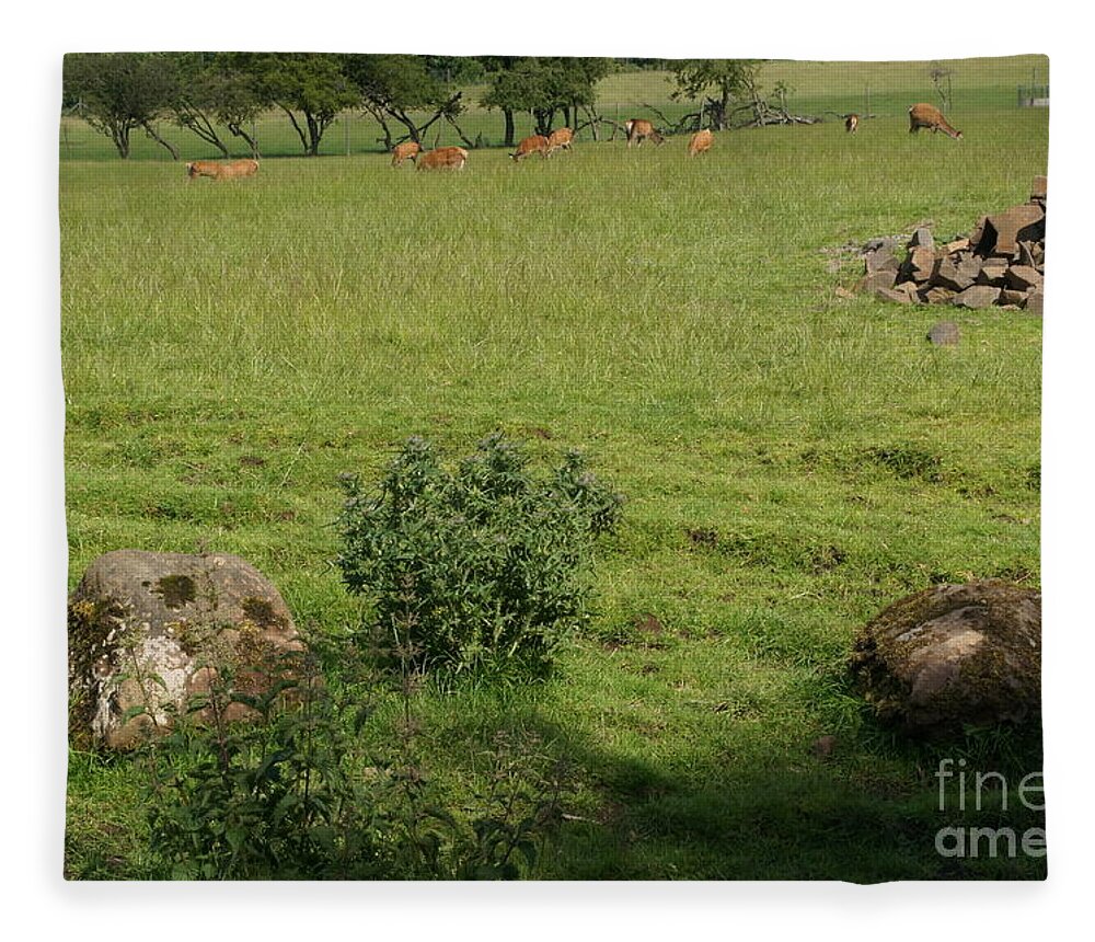Beecraigs Fleece Blanket featuring the photograph Pasture. by Elena Perelman