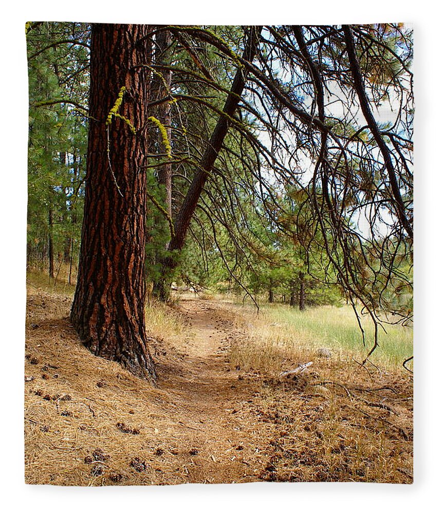 Nature Fleece Blanket featuring the photograph Path to Enlightenment 2 by Ben Upham III