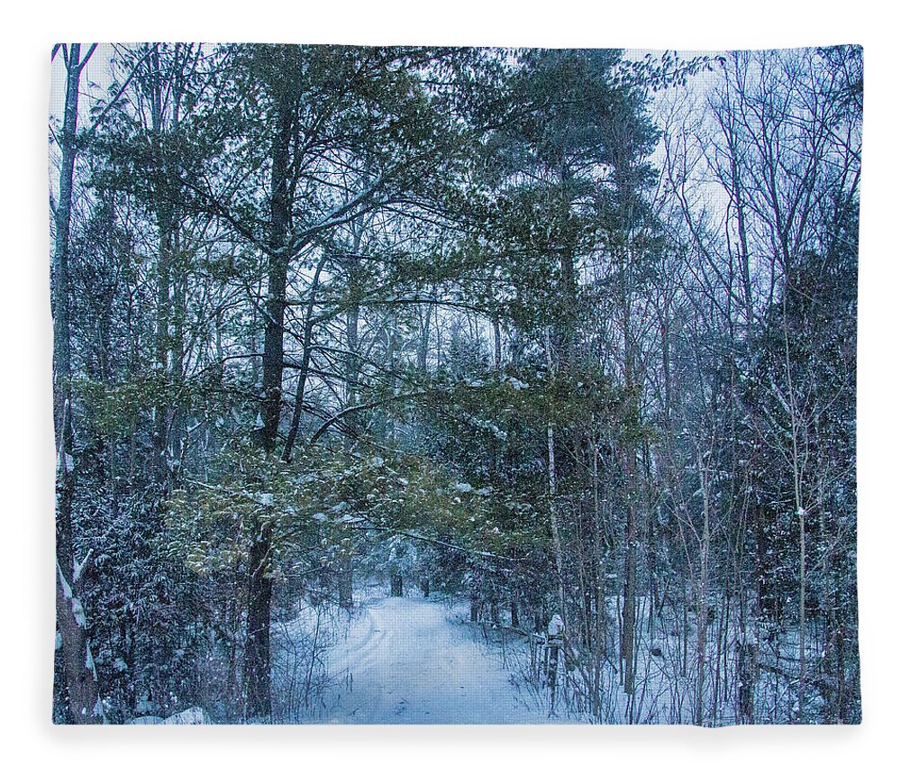 Campbellville Fleece Blanket featuring the photograph Path to the Gazebo by Marilyn Cornwell