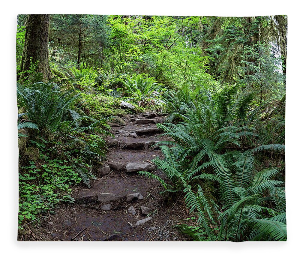 Ferns Fleece Blanket featuring the photograph Pathway into the Forest by Roslyn Wilkins