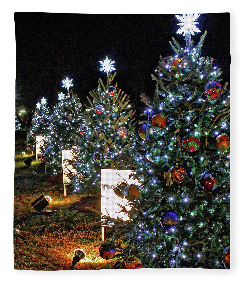 State Christmas Trees Fleece Blanket featuring the photograph Pathway of Peace by Suzanne Stout