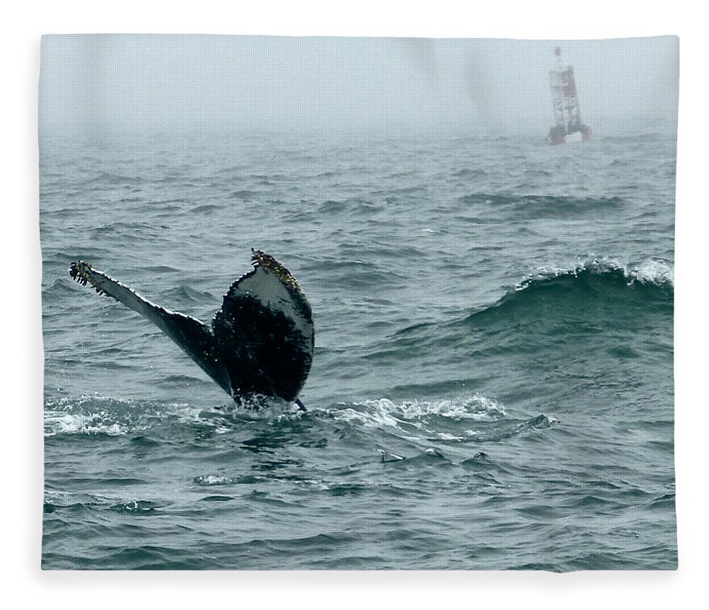 Humpback Whales Fleece Blanket featuring the photograph Humpback Flukes and Buoy by Amelia Racca