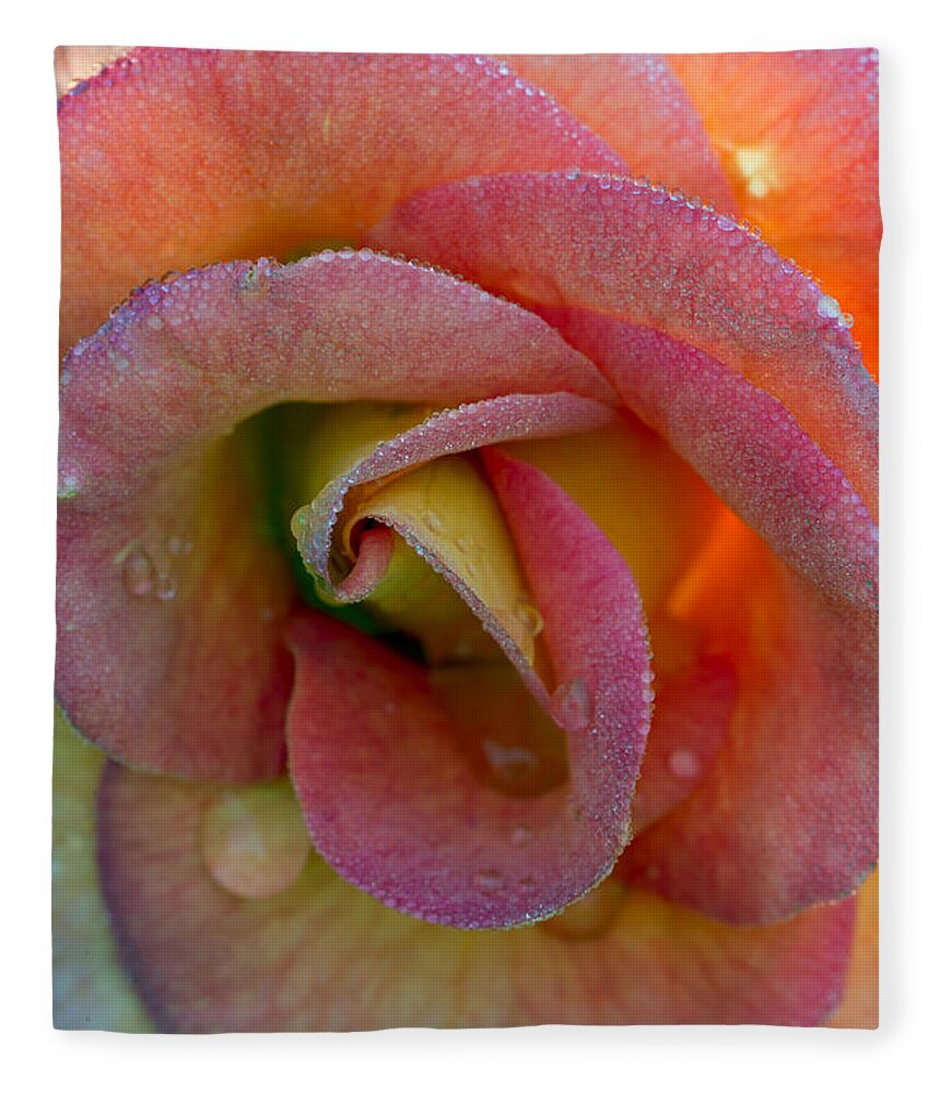 Peach Fleece Blanket featuring the photograph Peach Colored Rose after a rain by Gary Langley