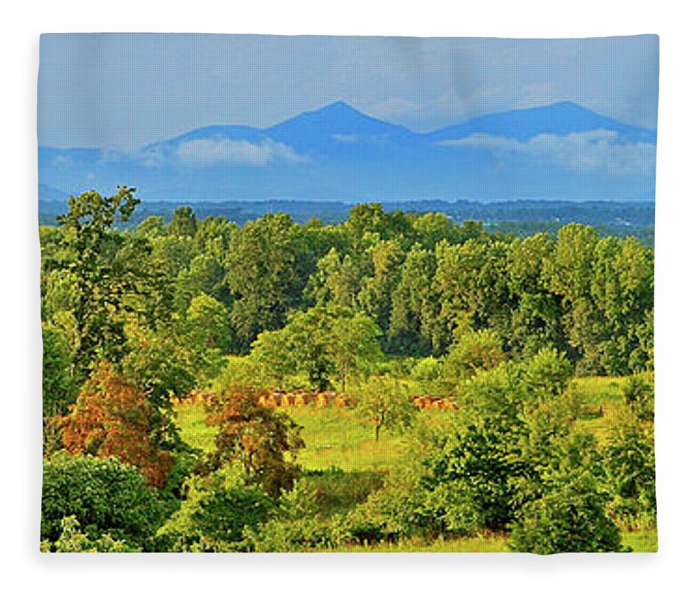 Peaks Of Otter Fleece Blanket featuring the photograph Peaks of Otter Rainstorm by The James Roney Collection