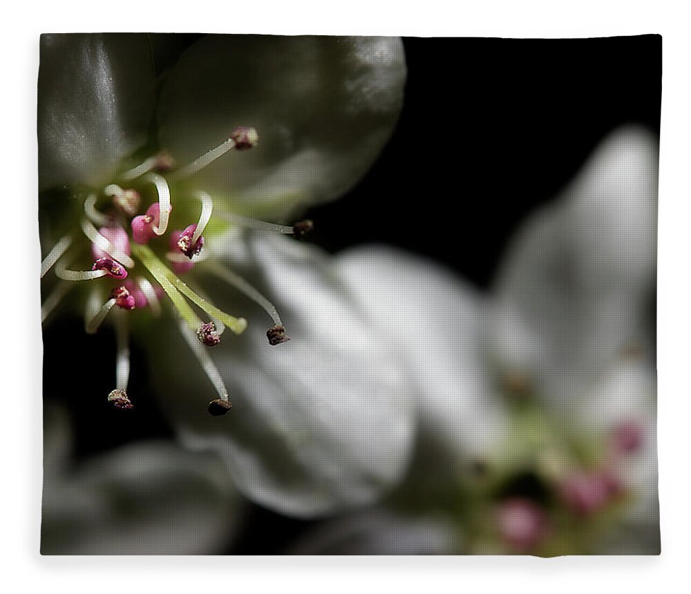 Blossoms Fleece Blanket featuring the photograph Pear Blossoms by Mike Eingle