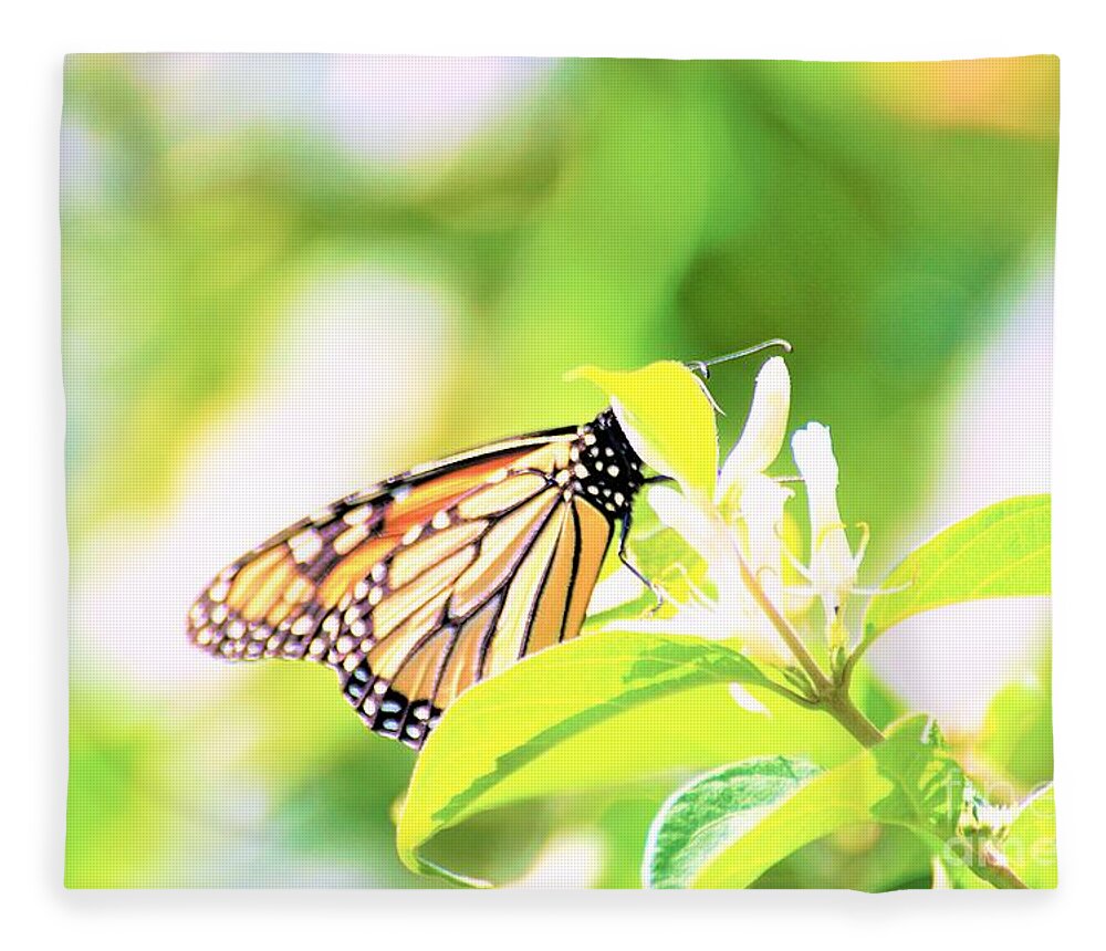 Butterflies Fleece Blanket featuring the photograph Peek-a-Boo by Merle Grenz