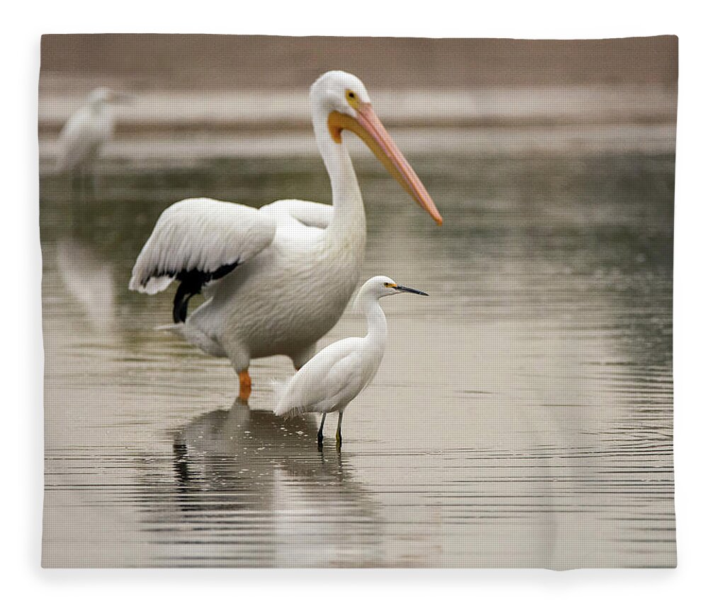 Pelican Fleece Blanket featuring the photograph Pelican and Snowy Egret 6459-113017-1cr by Tam Ryan