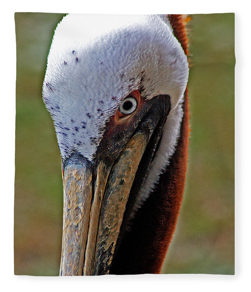 Pelican Fleece Blanket featuring the painting Pelican Head by Michael Thomas