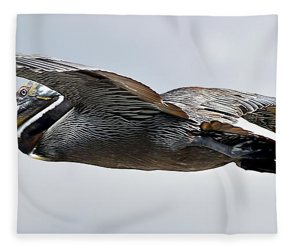 Pelican Fleece Blanket featuring the photograph Pelican in Flight by WAZgriffin Digital