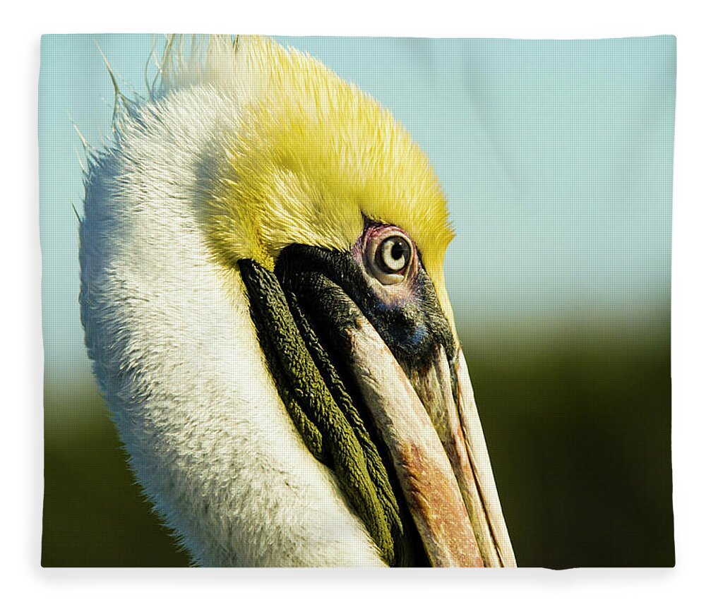 Pelican Fleece Blanket featuring the photograph Pelican by Jason Hughes