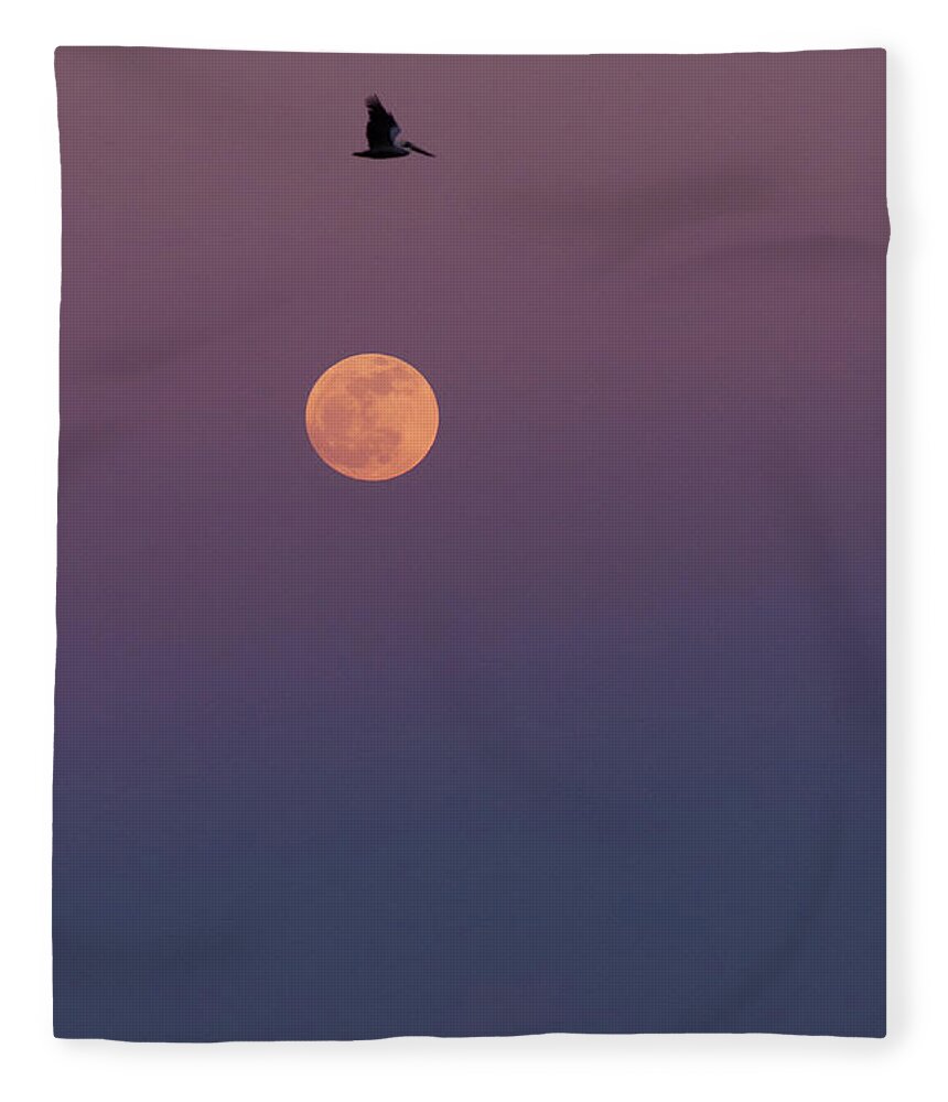 Pelican Fleece Blanket featuring the photograph Pelican Over the Moon by Paul Rebmann