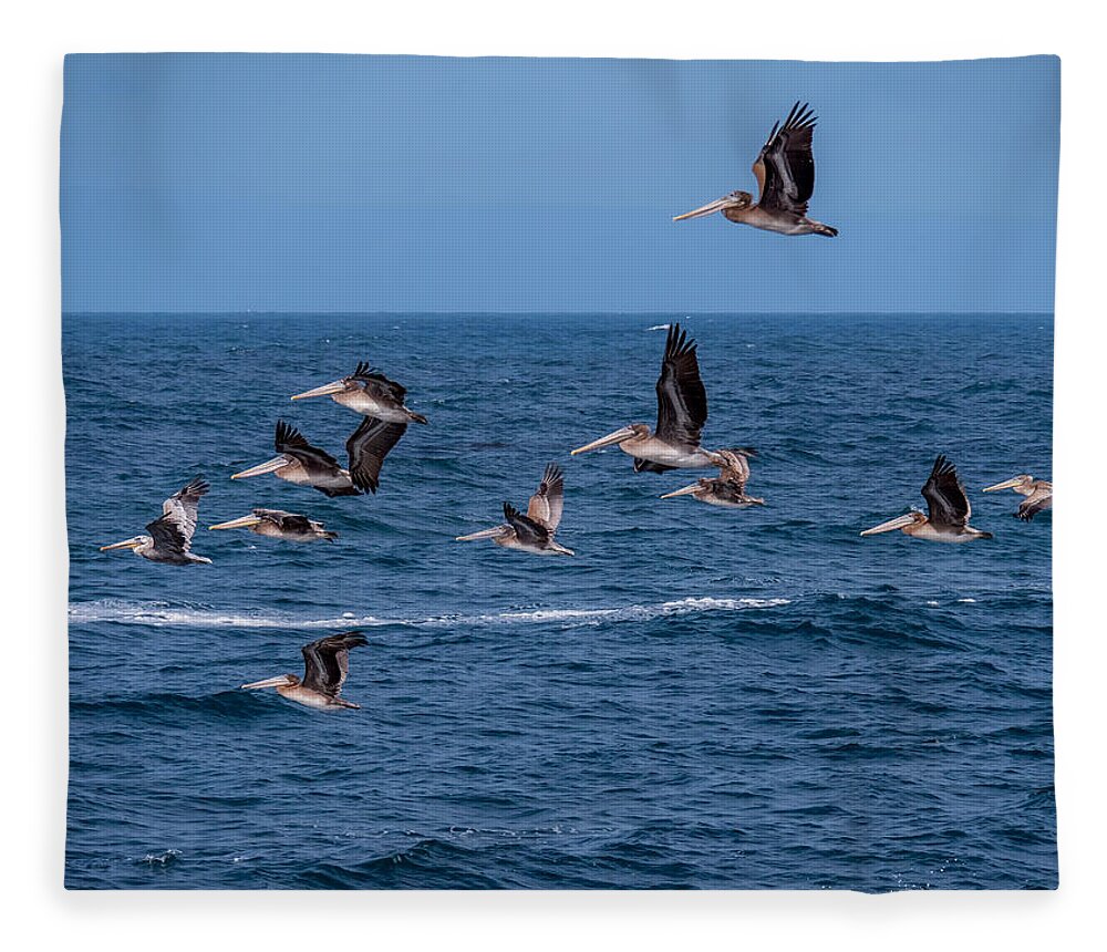 Pelicans Fleece Blanket featuring the photograph Pelicans Fly Over the Water by Derek Dean
