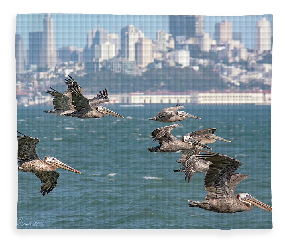 Wildlife Fleece Blanket featuring the photograph Pelicans Over San Francisco Bay by Brian Tada